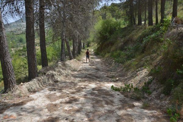 Rustic farm for sale in Finca rústica en barranco, Planes , Planes thumbnail 3