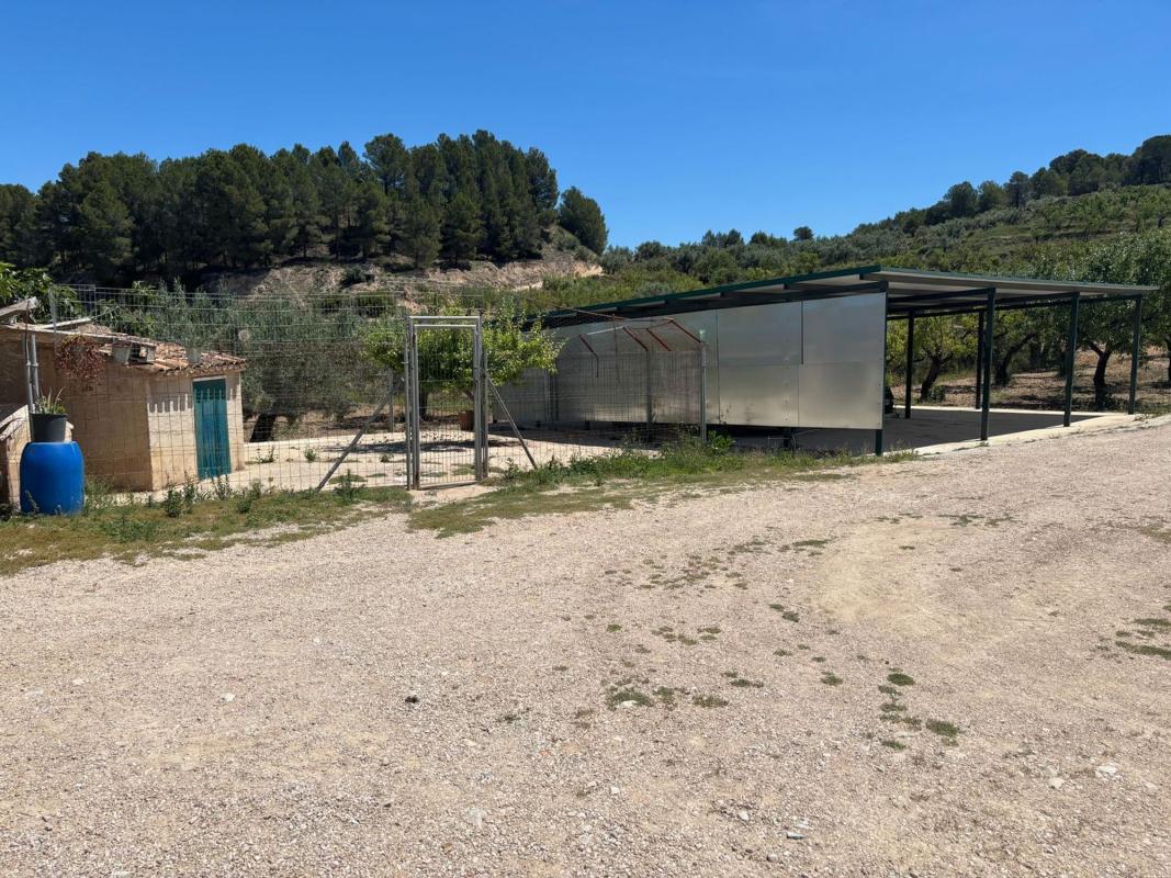Properties for sale and rent in Spain photo 4