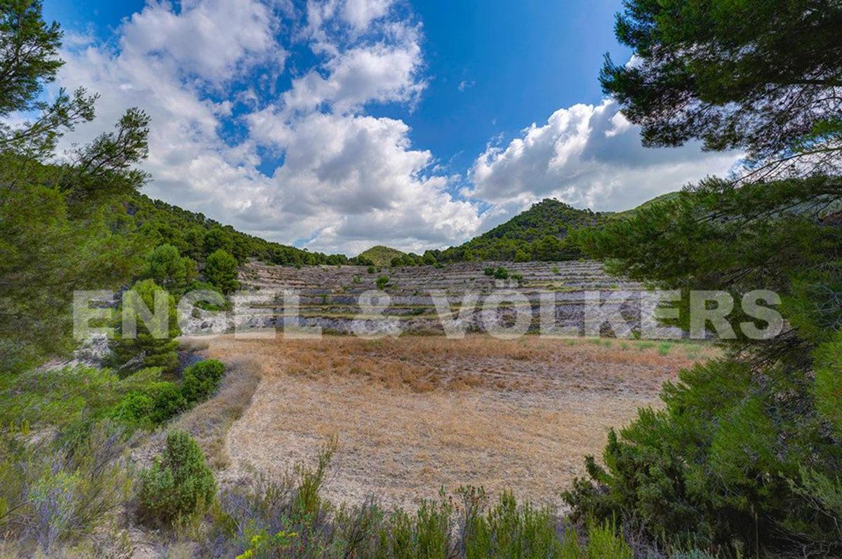 Venta de finca rústica en Finca rústica en partida de abio i serra, 1, Jijona / Xixona , Jijona / Xixona photo 2