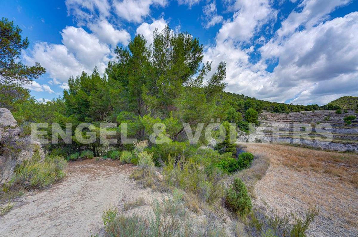 Venta de finca rústica en Finca rústica en partida de abio i serra, 1, Jijona / Xixona , Jijona / Xixona photo 3