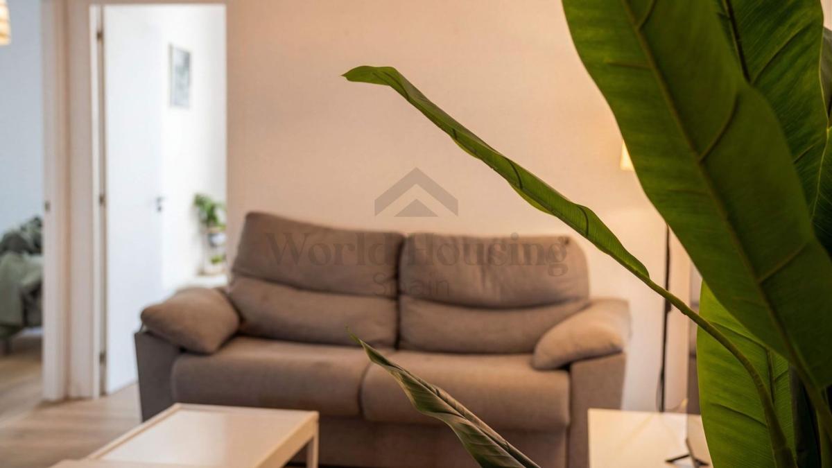 Venta de piso en Piso en Calle Llauradors, Casco Histórico-Santa Cruz, Alicante / Alacant, Alicante / Alacant
photo 5