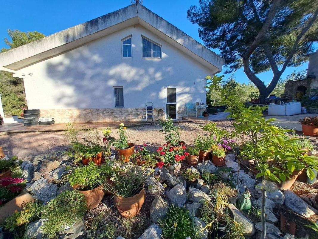 Продажа загородного участка в Finca rústica en Sax , Сакс photo 2
