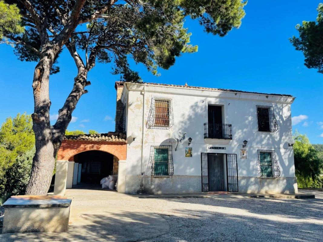 Sprzedaż działki rolnej w Finca rústica en Sin calle en la migracion, Jijona / Xixona , Jijona / Xixona photo 3
