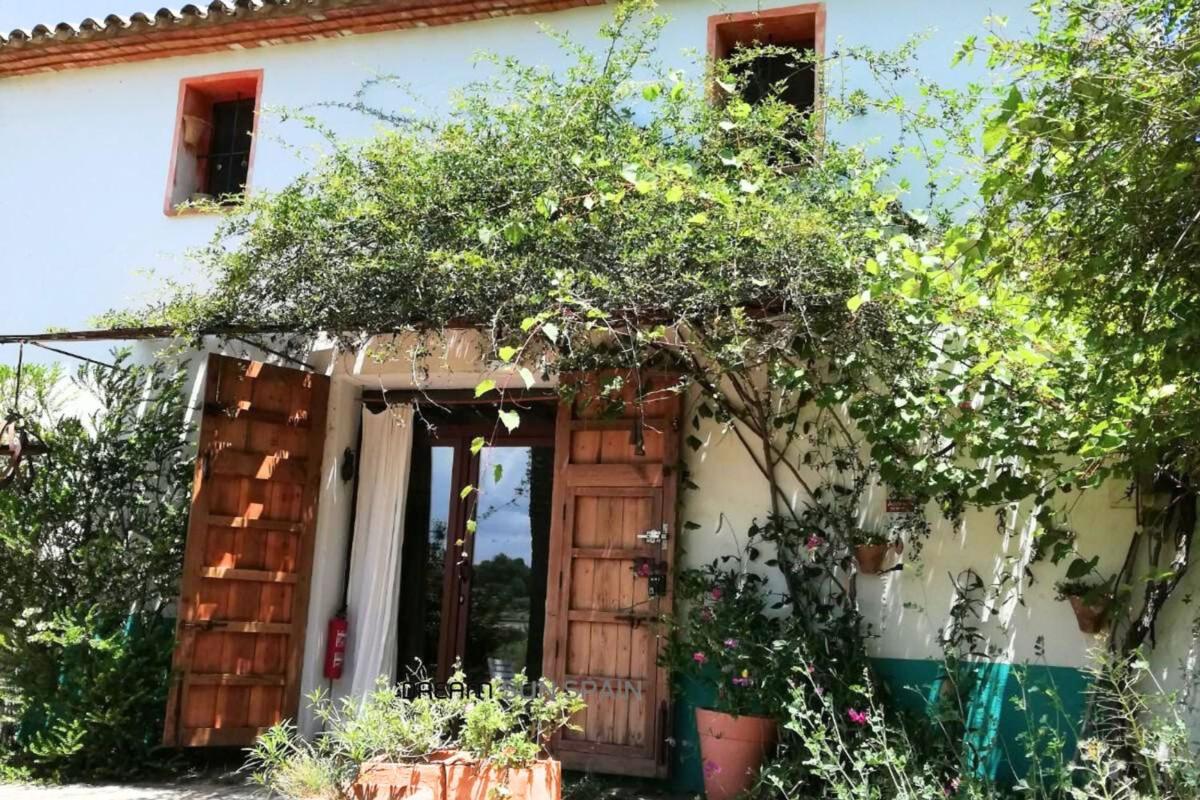 Продажа загородного участка в Finca rústica en Partida Jesús Pobre C, La Xara - La Sella - Jesús Pobre, Denia , Дения photo 5