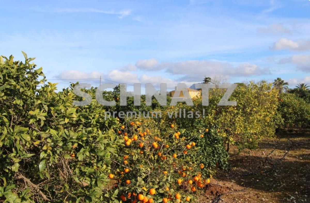 Sprzedaż działki rolnej w  Finca rústica en Ondara , Ondara photo 2