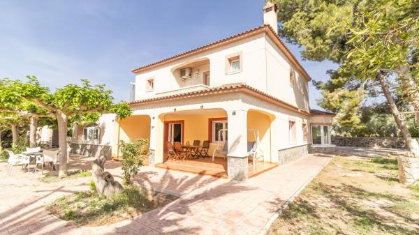 Casa o chalet independiente en La Galia-Bonavista, Elche / Elx thumbnail 2