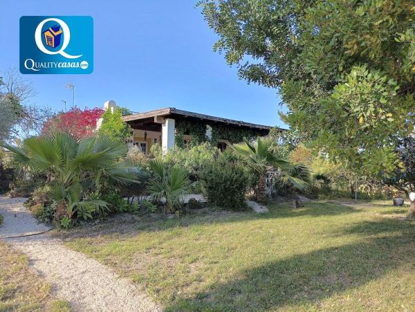 Casa o chalet independiente en Algoda-Matola-Llano de San José, Elche / Elx thumbnail 3