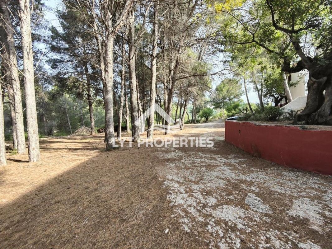 Недвижимость на продажу и в аренду в Испании photo 2
