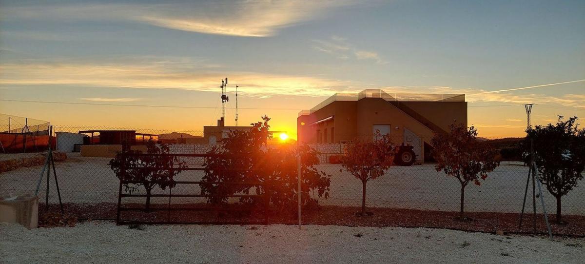 Sale of independent chalet in Casa o chalet en Pinoso, Pinoso
photo 5