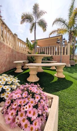 Casa o chalet independiente en La Galia-Bonavista, Elche / Elx photo 4