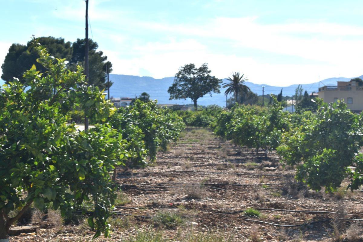 Sale of rural property in  Finca rústica en Partida Hortes de Baix, Beniarbeig , Beniarbeig photo 5