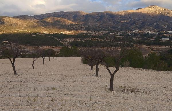Finca rustykalna na sprzedaż w  Finca rústica en Tibi , Tibi photo 3