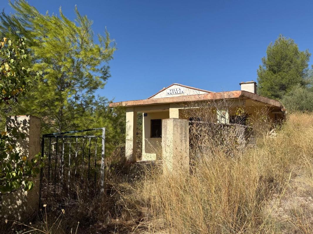 Properties for sale and rent in Spain photo 3