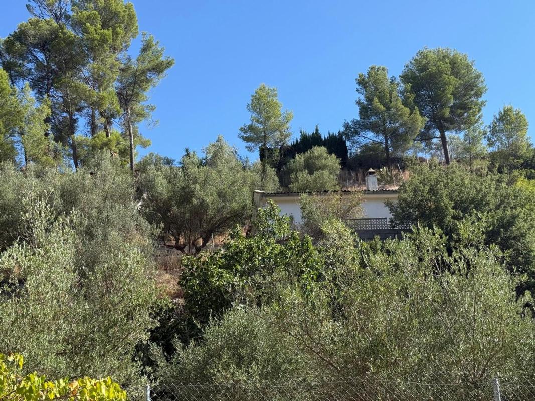 Properties for sale and rent in Spain photo 5