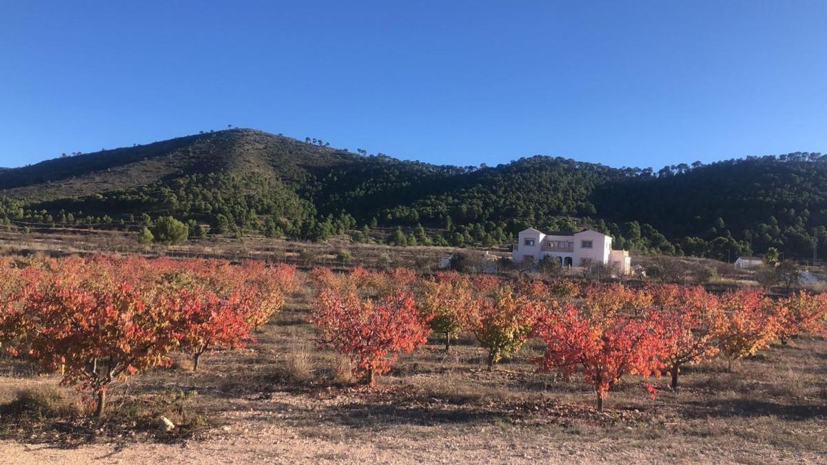Propiedades en venta y alquiler en España photo 3