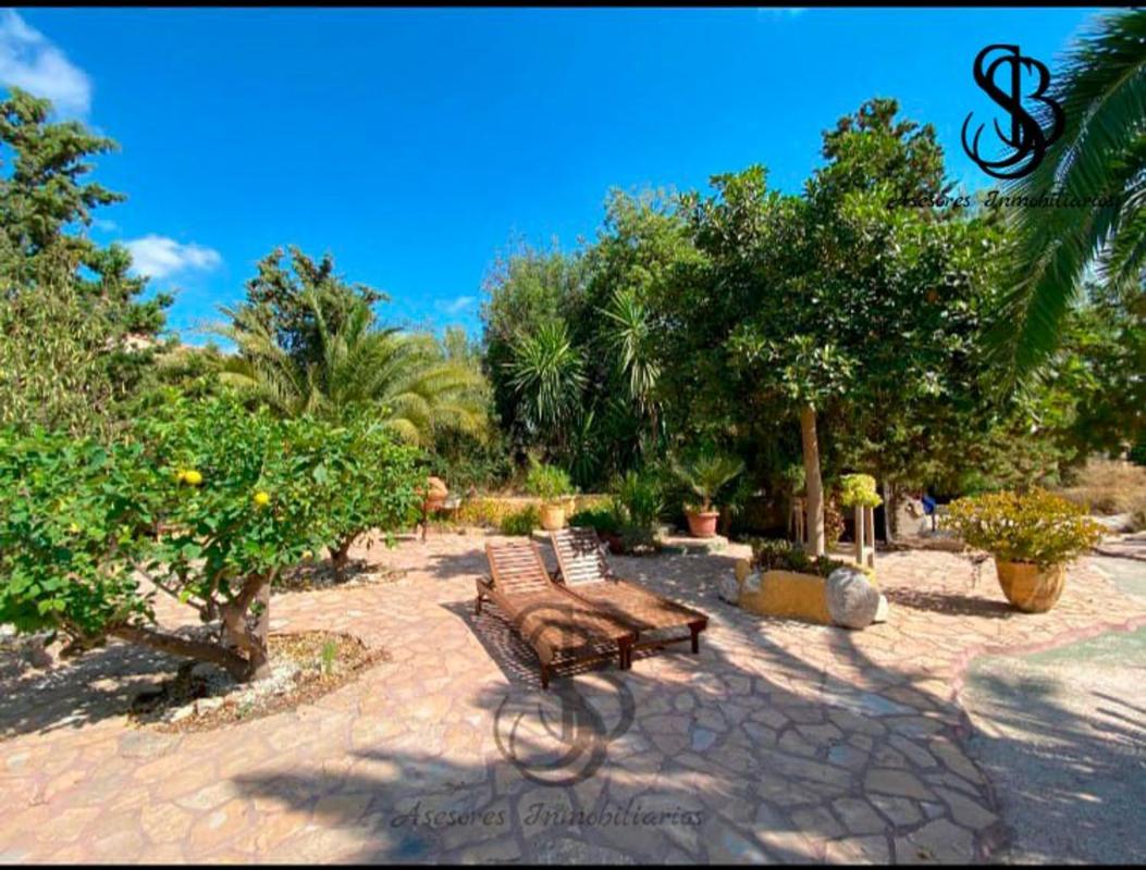 Properties for sale and rent in Spain photo 2