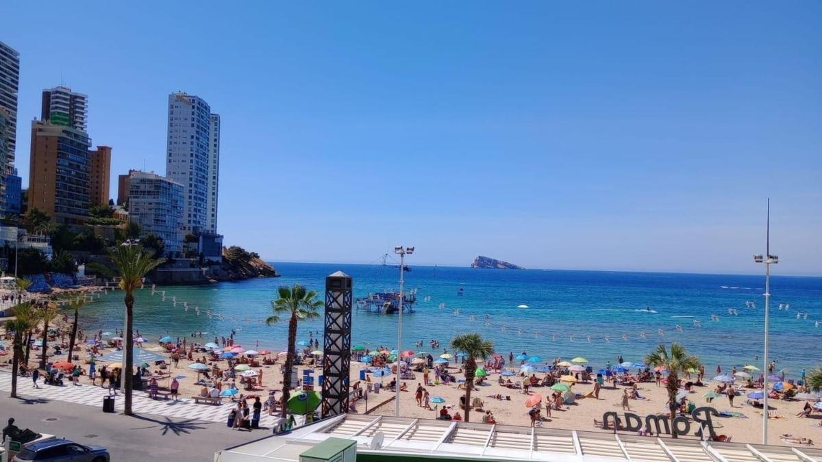 Venta de piso en Piso en Avenida de Madrid, Playa de Levante, Benidorm, Benidorm
photo 1