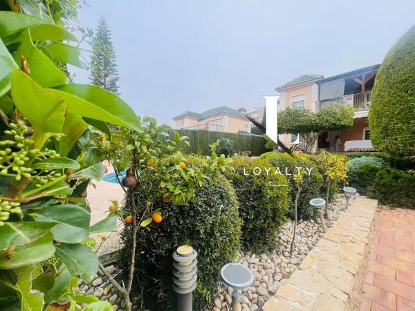 Casa o chalet independiente en Calle San Sebastian, 11, Arenales del Sol, Elche / Elx thumbnail 2