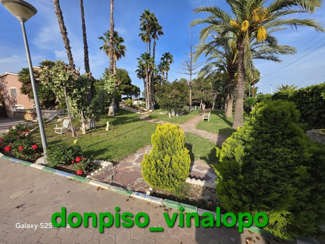 Venta de finca rústica en  Finca rústica en La Galia-Bonavista, Elche / Elx , Elche / Elx photo 4