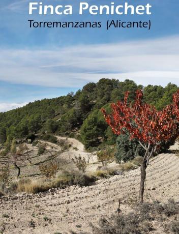 Rustic farm for sale in Finca rústica en teix de abajo, 782, Torremanzanas , Torremanzanas photo 1
