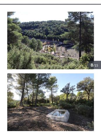 Rustic farm for sale in  Finca rústica en teix de abajo, 782, Torremanzanas , Torremanzanas photo 4
