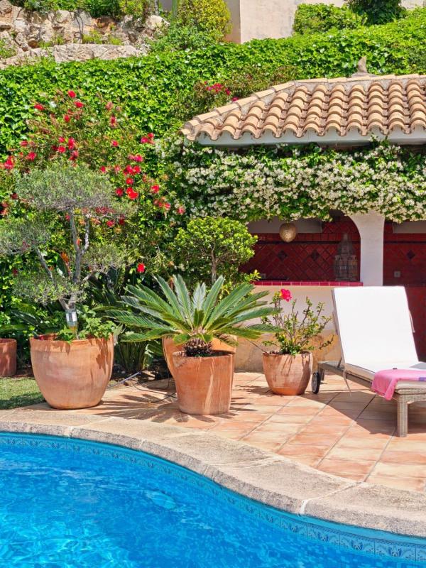 Propiedades en venta y alquiler en España photo 3