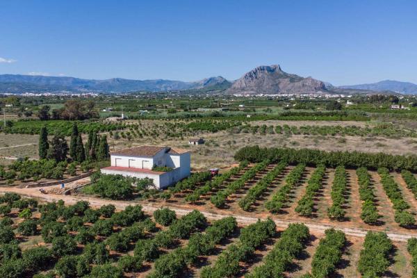 Independent chalet for sale in Casa o chalet en El Palmar-Los Molinos, Denia, Denia
thumbnail 3