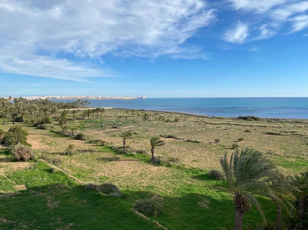 Venta de piso en Piso en Calle Pleamar, 21, Punta Prima, Torrevieja, Torrevieja
photo 5