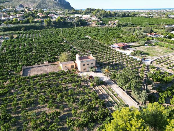 Rustic farm for sale in Finca rústica en Beniarbeig , Beniarbeig photo 1