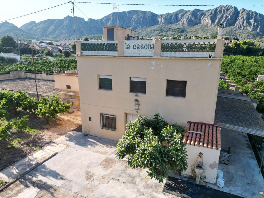 Sale of rural property in  Finca rústica en Beniarbeig , Beniarbeig photo 3