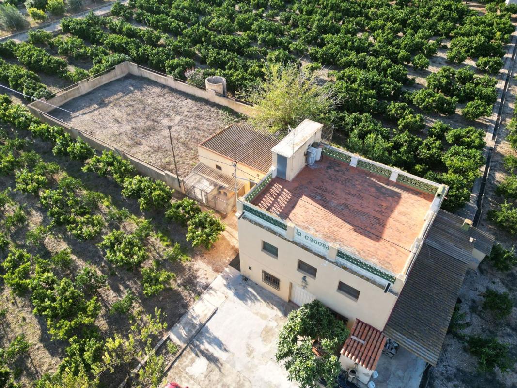 Sale of rural property in  Finca rústica en Beniarbeig , Beniarbeig photo 4