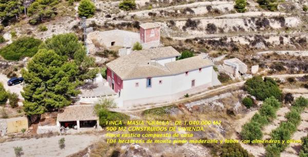 Finca rustykalna na sprzedaż w Finca rústica en Partida les Falcones, 99, Monovar , Monowar photo 1
