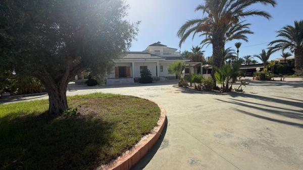 Casa o chalet independiente en Partida Valverde Bajo, Valverde, Elche / Elx photo 2