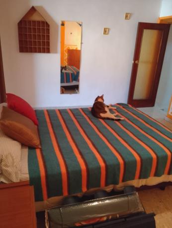 Chalet adosado en Santo Cristo, 51, Callosa d'En Sarria photo 4