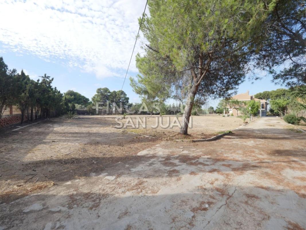 Properties for sale and rent in Spain photo 3
