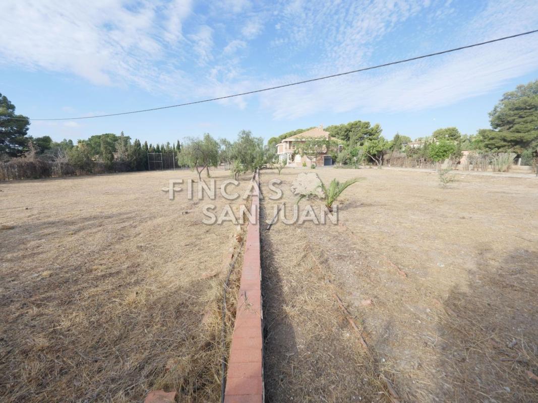 Properties for sale and rent in Spain photo 4