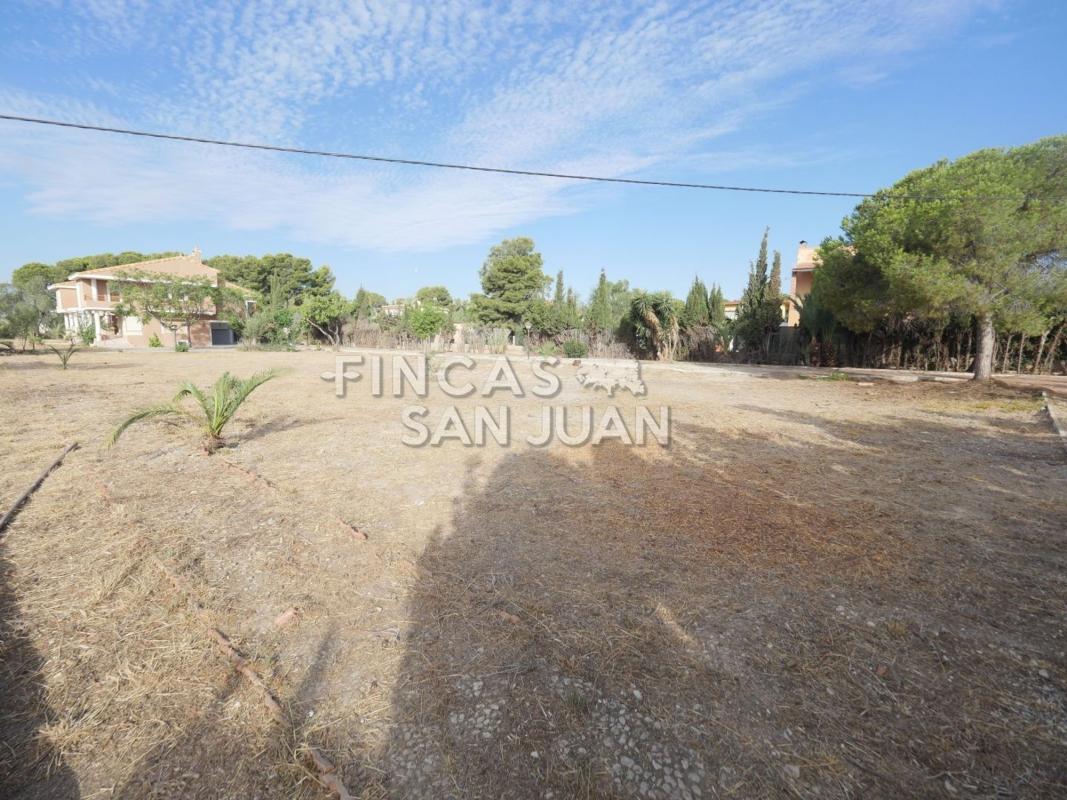 Properties for sale and rent in Spain photo 5
