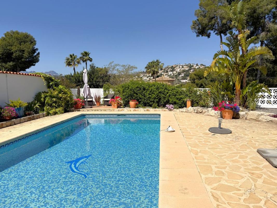 Properties for sale and rent in Spain photo 3