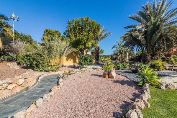 Casa o chalet independiente en Valverde, Elche / Elx photo 4