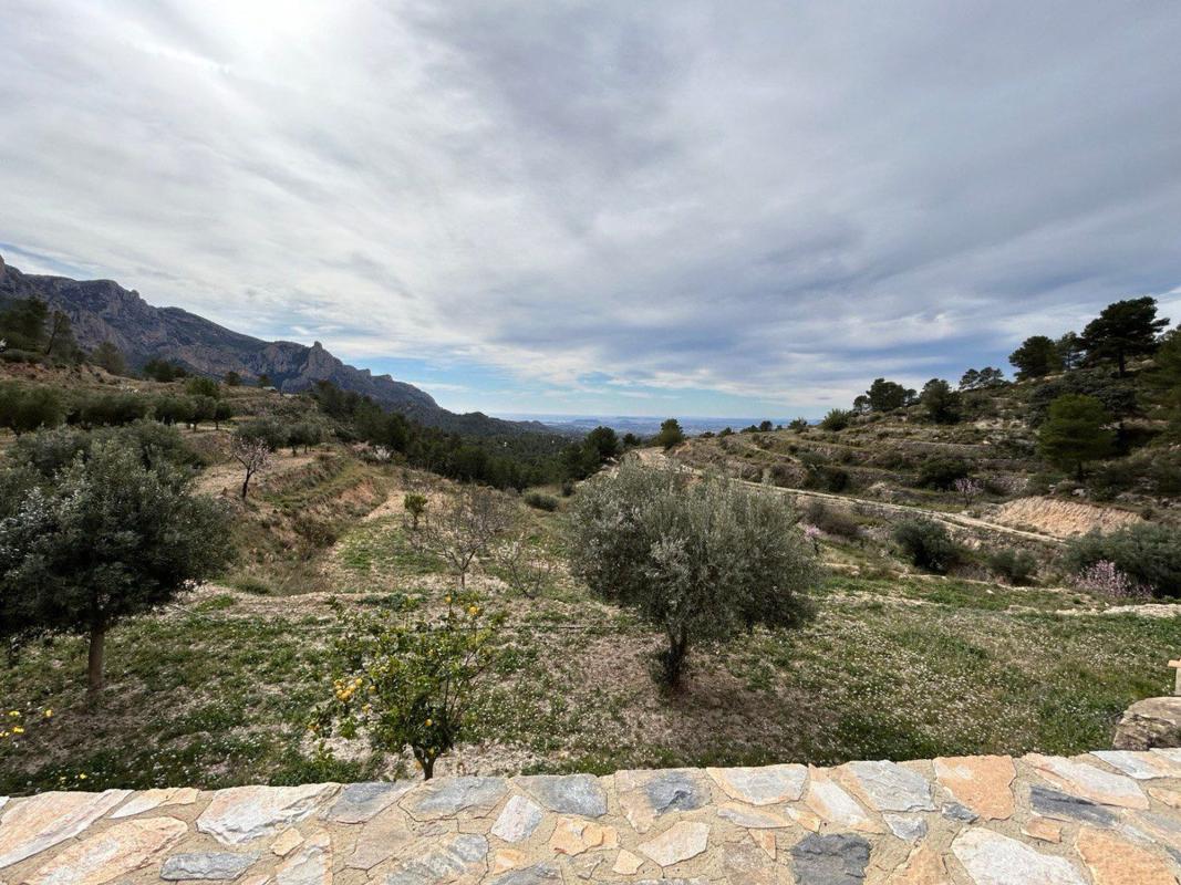Propiedades en venta y alquiler en España photo 2