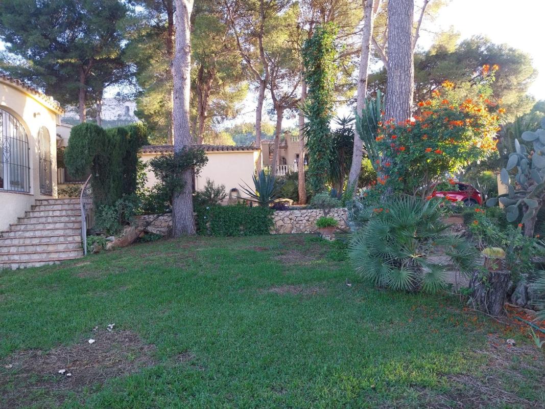 Properties for sale and rent in Spain photo 5