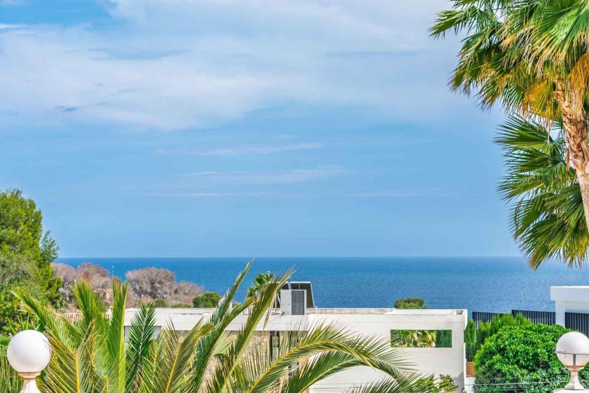 Properties for sale and rent in Spain photo 4