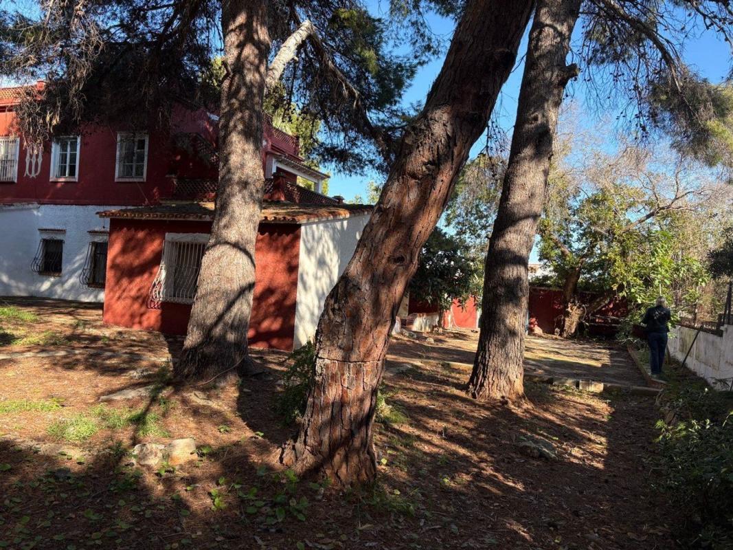 Sale of independent chalet in Casa o chalet en Les Rotes/Las Rotas, Denia, Denia
 photo 4