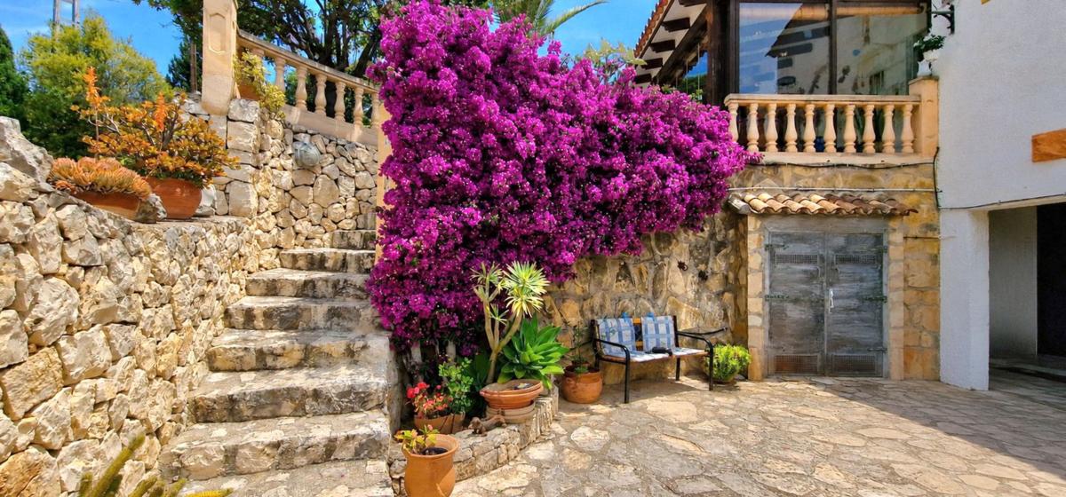 Properties for sale and rent in Spain photo 5