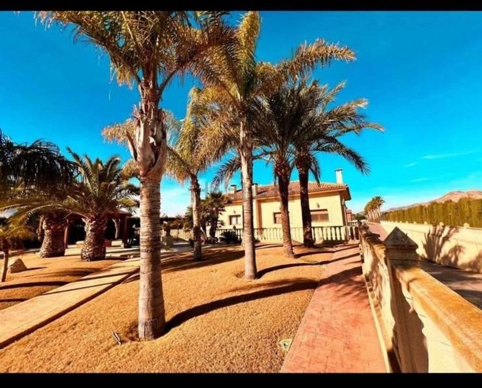 Properties for sale and rent in Spain photo 5