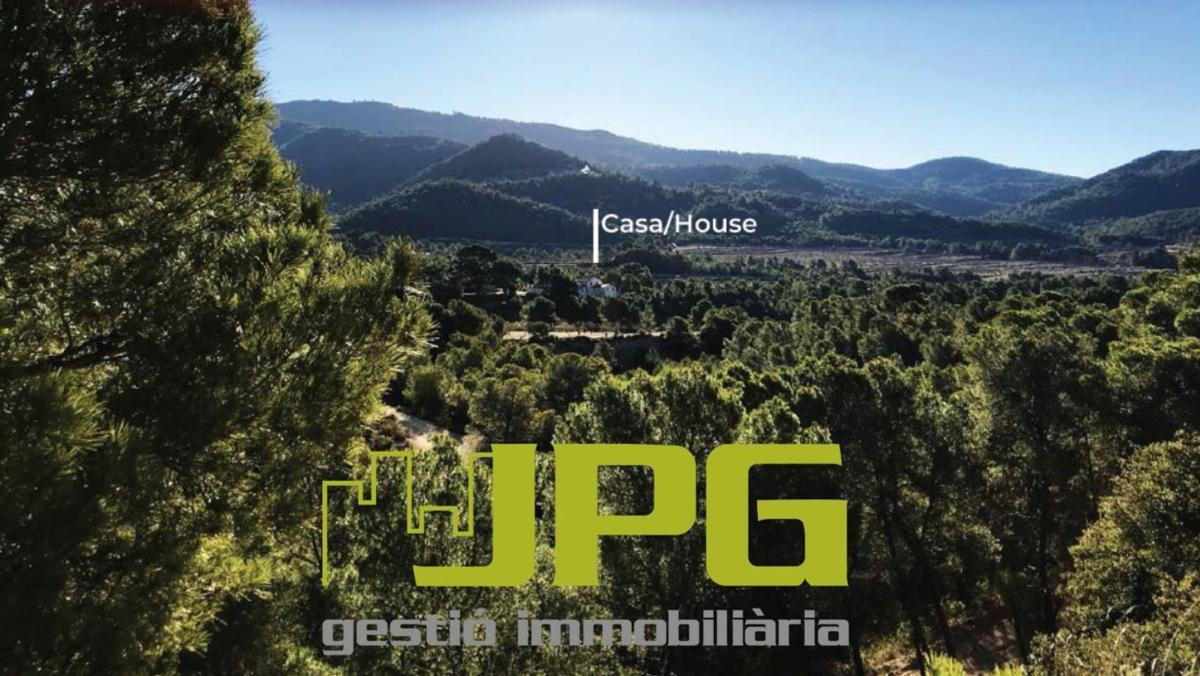 Sale of rural property in Finca rústica en Torremanzanas , Torremanzanas photo 2