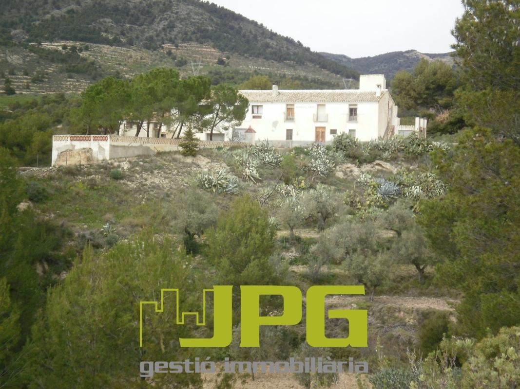 Sale of rural property in Finca rústica en Torremanzanas , Torremanzanas photo 3