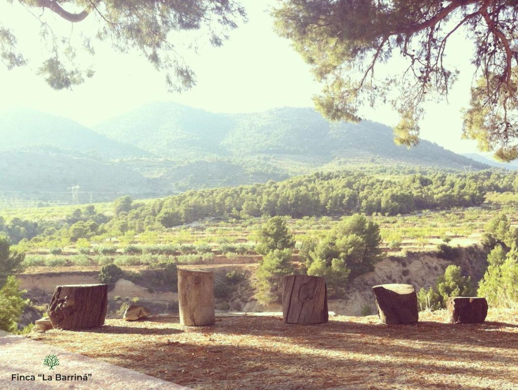 Продажа загородного участка в Finca rústica en Barrinada, 22, Torremanzanas , Торремансас photo 3