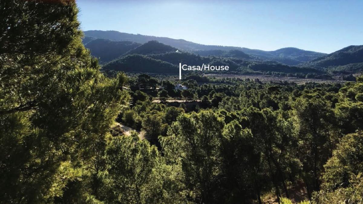 Продажа загородного участка в Finca rústica en Barrinada, 22, Torremanzanas , Торремансас photo 4