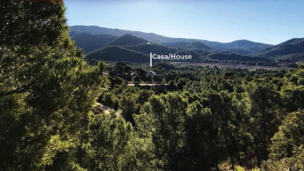 Rustic farm for sale in  Finca rústica en Barrinada, 22, Torremanzanas , Torremanzanas photo 4